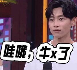 魏晨专属表情包,趣味横生的表情盛宴