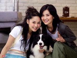 twins跳海搞笑配音,搞笑配音笑翻全场！